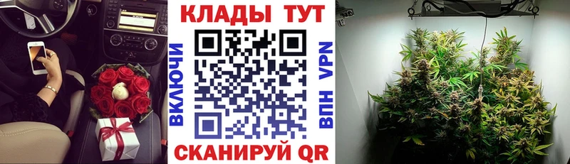 Купить закладку Новоузенск МАРИХУАНА COCAIN ГАШИШ A-PVP Амфетамин Мефедрон