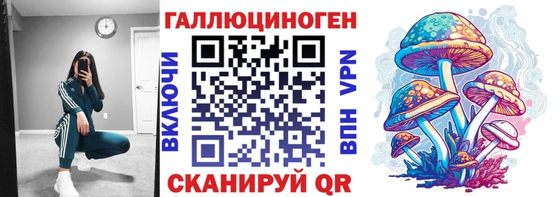 где продают наркотики Новоузенск Псилоцибиновые грибы Cubensis